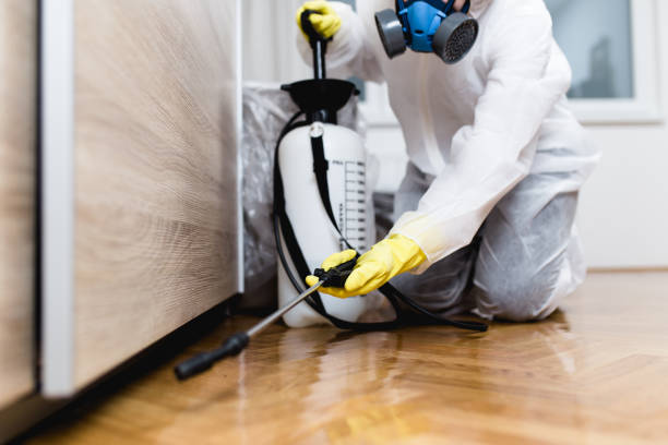 Best Best Pest Control Companies  in San Luis, AZ