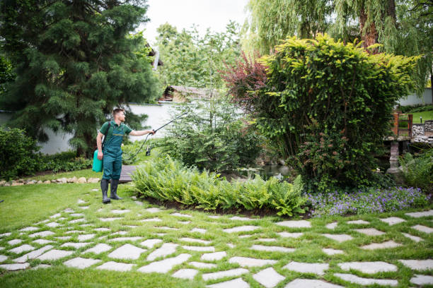 Best Residential Pest Control  in San Luis, AZ