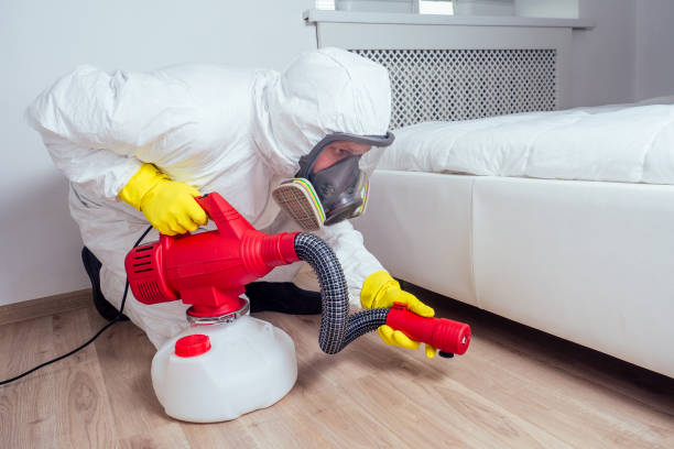 Pest Prevention Services in San Luis, AZ